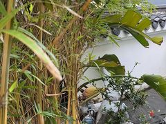 -道南書院·私房菜·早午茶·茶馆