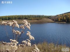 -塞罕坝国家级自然保护区