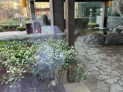 -北京乐多港万豪酒店汤乐宫温泉