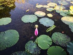 -上海市保健医疗中心