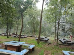 -南宁良凤江国家森林公园