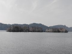 -东湖落雁景区