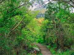 -黄山翡翠谷景区