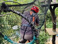 -芦仙山景区-飞越丛林探险乐园