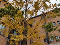 -UCCA Kids 儿童美育