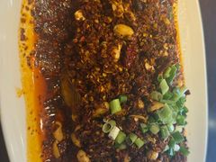 -胖大姐黄辣丁鱼庄(新津店)