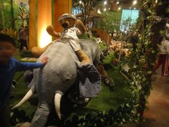 -济州岛泰迪熊博物馆