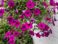 -潇湘·永州会馆(百子湾店)