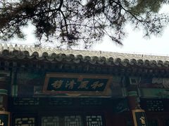 -颐和园