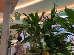 -桂满陇·蟹黄小笼汤包(清河万象店)