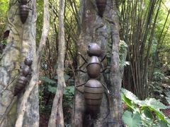 iphone_upload_pic-东部华侨城