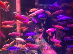 -沈阳海洋探索中心