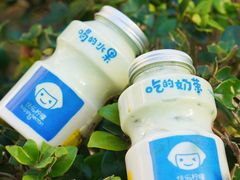 -快乐柠檬happylemon(日月光店)