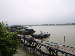 -大湾区中央湿地公园-十九涌