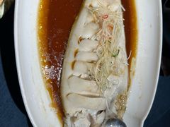 -金狮麟·新豫菜(金码大厦店)