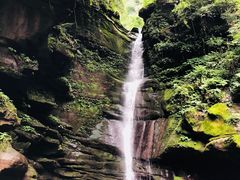 -舌尖上的石棉何雨露烧烤