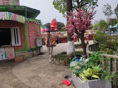-南湖梦幻岛