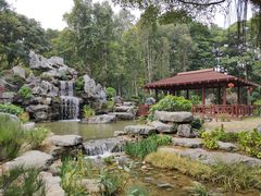 -东莞植物园