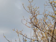 -南山风景名胜区