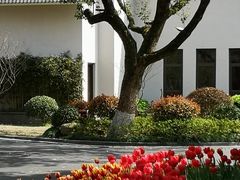 -杭州花家山庄
