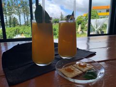 -柑橘农场