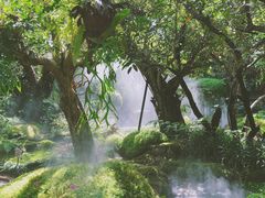 -Chom Cafe and Restaurant