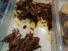 -水一方现烤鱿鱼丝大连特产(三八广场店)