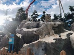 -七彩云南欢乐世界