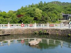 -白马涧龙池景区