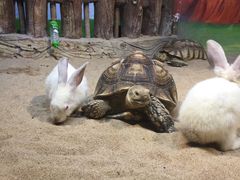 -华夏文旅海洋公园