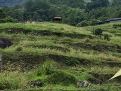 -石台牯牛降景区