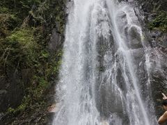 -姑婆山旅游区
