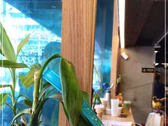 -放哈·甜醅子奶茶创造者(正宁路店)