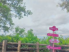 -海口火山口国家地质公园
