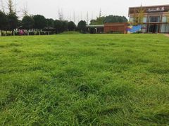 -洪湖家庭农场·团建·露营·会议