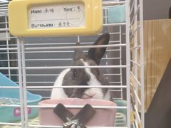 门面-UltraForce超源健身私教工作室(长楹天街精品店)