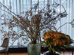 环境的花-荣轩(新荣记环球金融中心店)