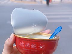 -德禄酸奶(莫家街店)