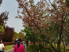 -九里河湿地公园