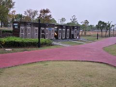 -春花秋色城市公园