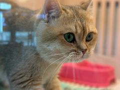 -乐宠宠物店(世纪金源店)