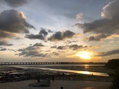 -宝安西湾红树林湿地公园