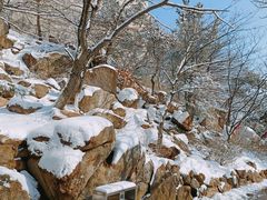 -石岛赤山风景区