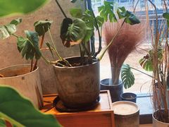 -山下C5cafe(惠通时代广场店)