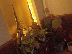 -域SPA·足疗·按摩·养生(静安寺店)