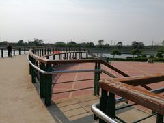 -丁香湖公园