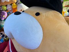 -LLJ夹机占(正佳广场店)