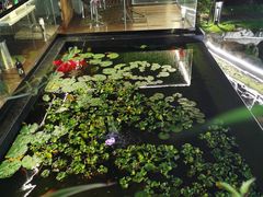 -蘇河湾·新鲁菜·泰山宴(泰山店)