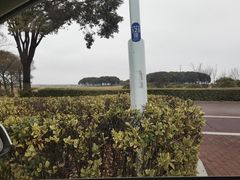 -阳澄湖半岛旅游度假区