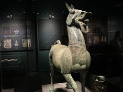 -广西壮族自治区博物馆